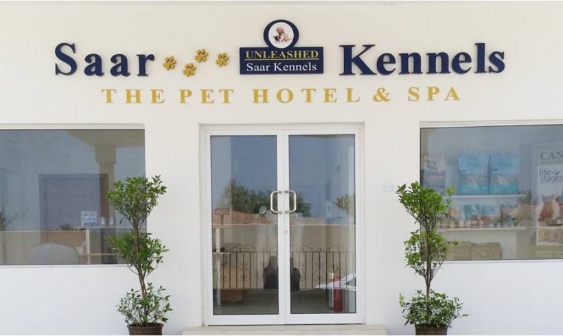 Welcome to the new Saar Kennels