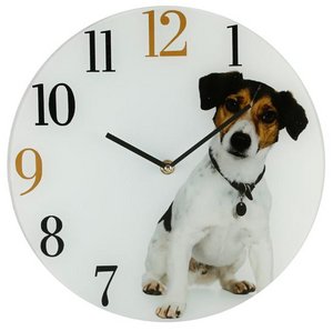 Dogs and Time