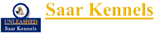 Saar Kennels - The Pet Hotel & Spa  